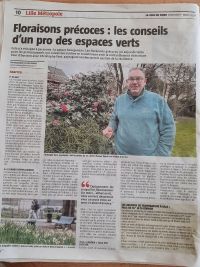 Vetiver jardin dans la presse